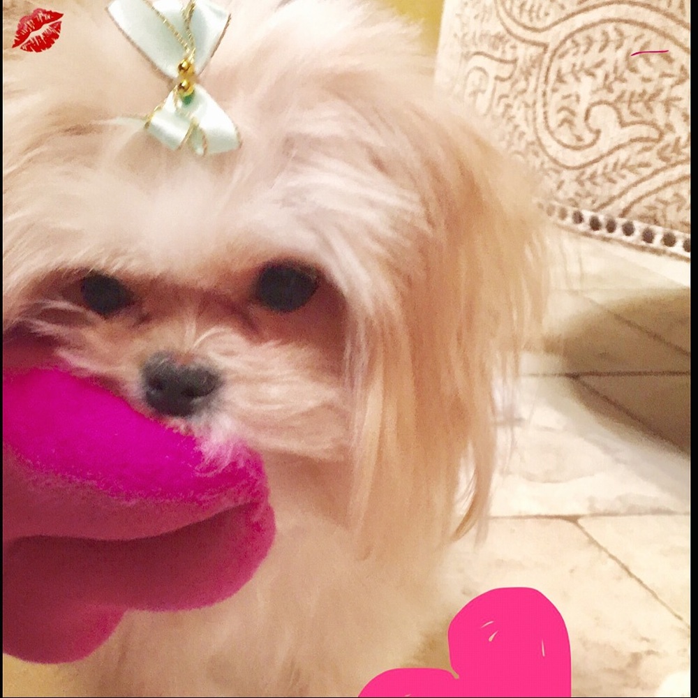 Meet your Posher, Sherry